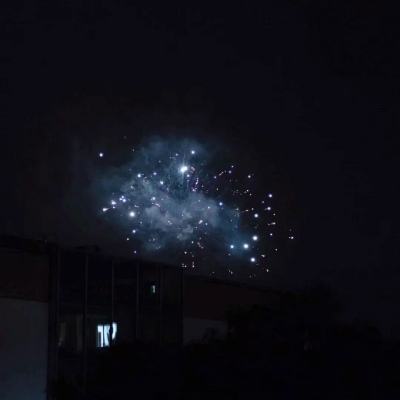 神宠奇缘游戏下载安装国际服