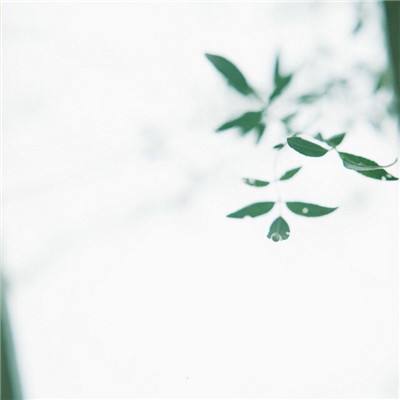 亡灵杀手外传最新版本下载